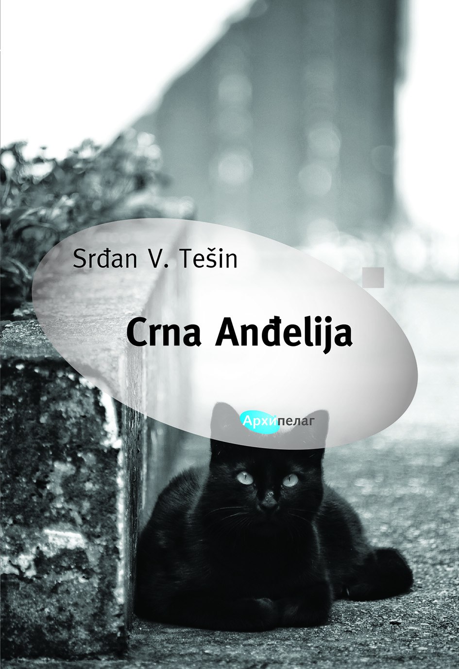 Srdjan Tesin Crna Andjelija compressed