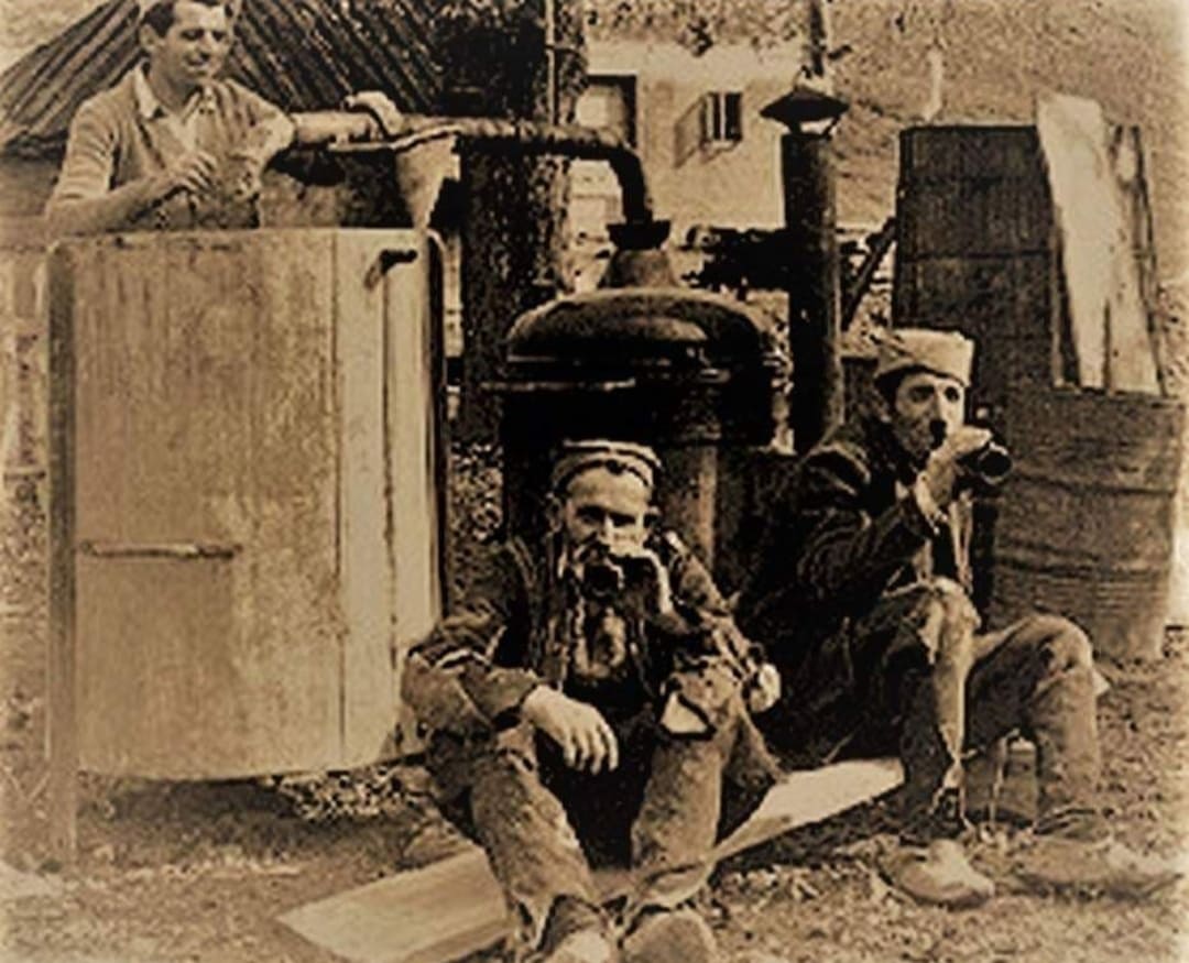 Srbija međ' šljivićima - za Srbe rakija "priča šesn'es jezika", a za Francuze je to piće "voda života" 1 1000040456 1