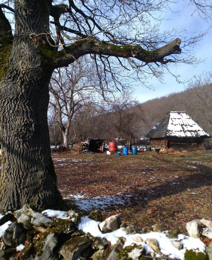 Srbija međ' šljivićima - za Srbe rakija "priča šesn'es jezika", a za Francuze je to piće "voda života" 3 1000040460
