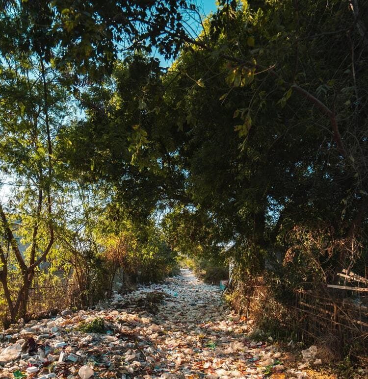 pexels stijn dijkstra 1306815 2583836 1 1 1 e1747060814620