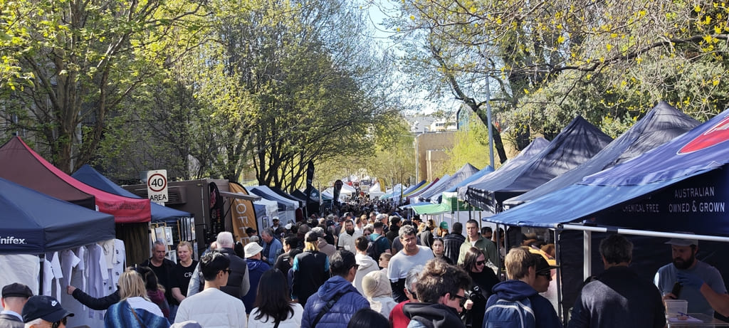 Saturday market from Salamanca a 1 1