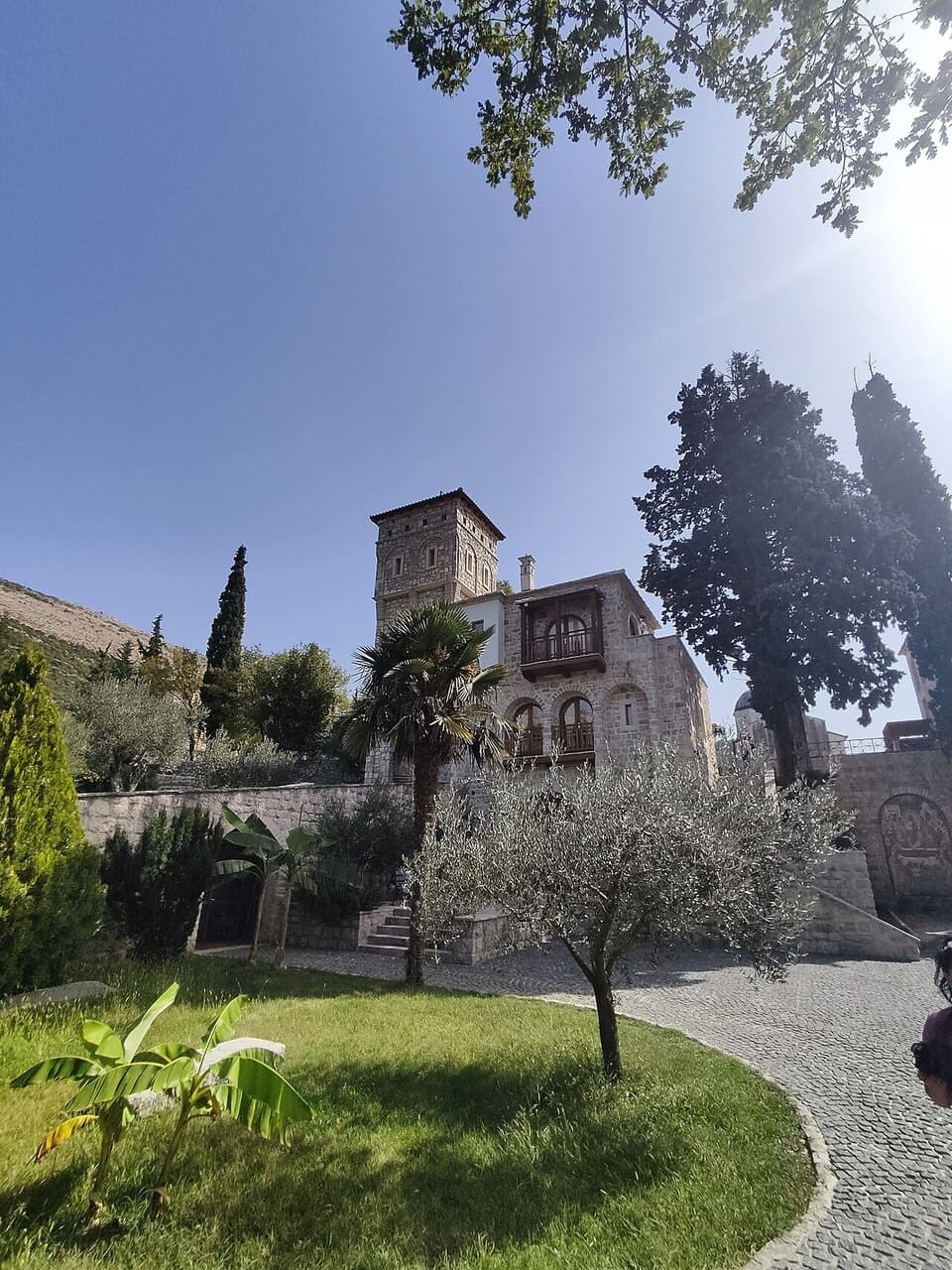 Najbolje maslinovo ulje na svetu dolazi iz srpskog manastira