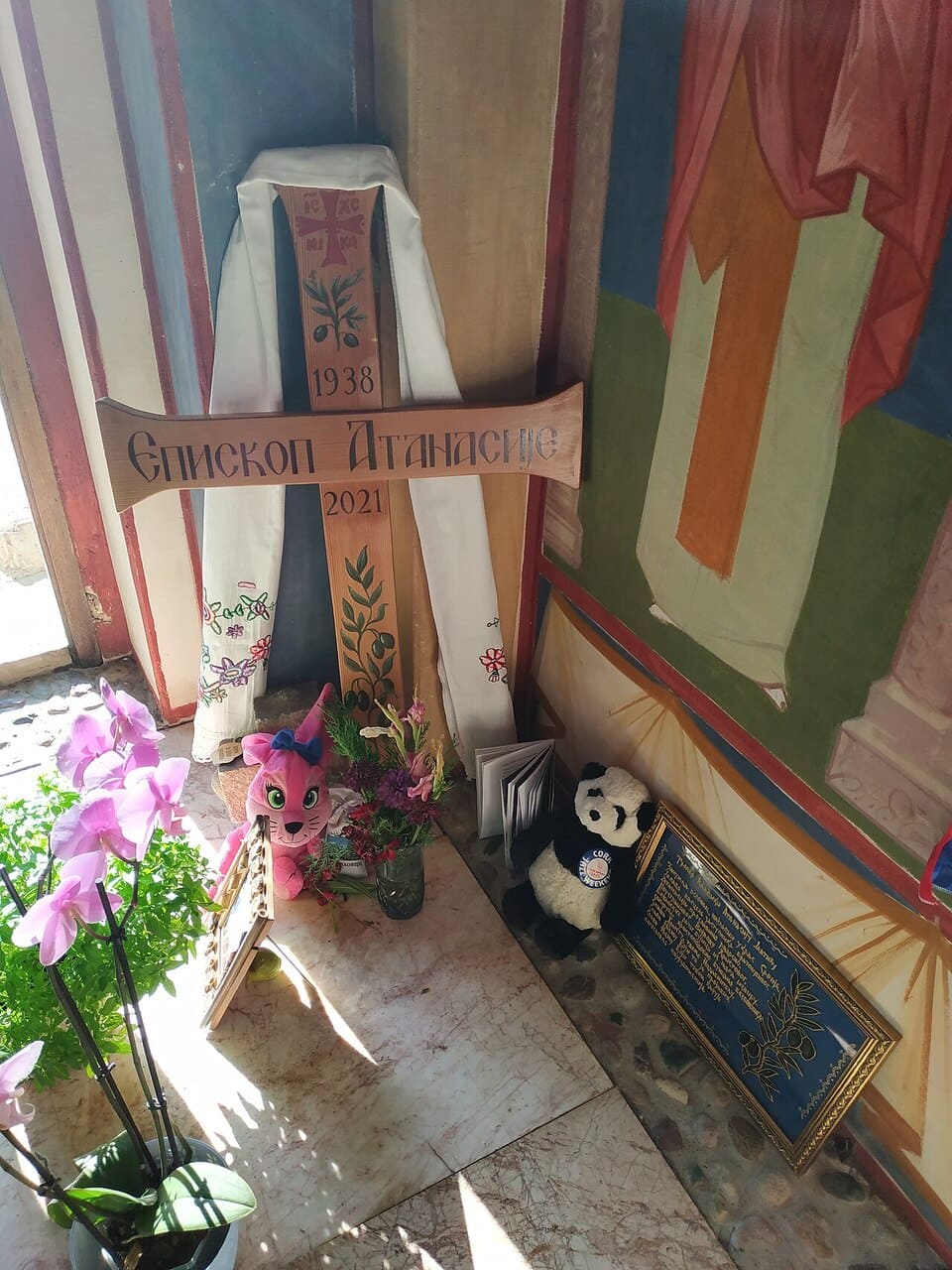 Maslinovo ulje na svetu dolazi iz srpskog manastira