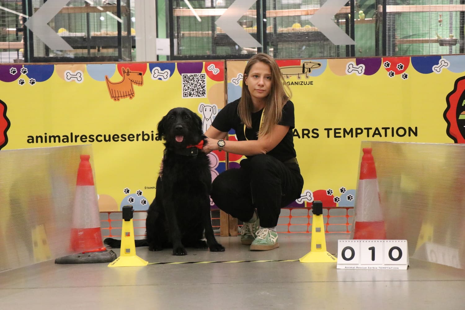 Danas na Adi: Animal Rescue Serbia organizuje zabavno takmičenje pasa i druženje sa ljubimcima