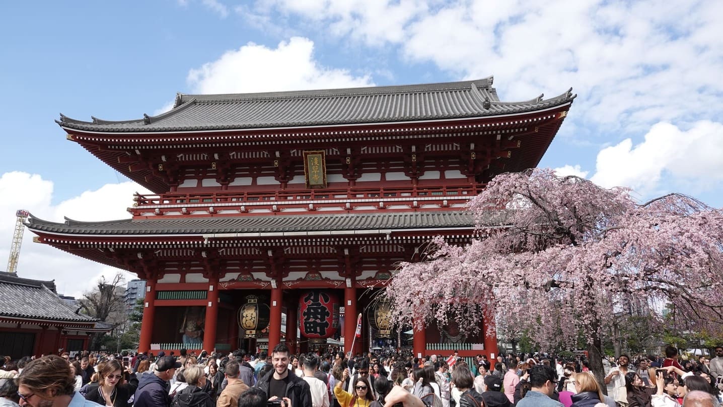 Putopis iz Japana: U metrou tišina, manga se čita svuda, u kolicima ljubimci, a u nosiljkama deca (1.deo) 13 U metrou tišina, manga se čita svuda, u kolicima ljubimci, a u nosiljkama deca (1.deo)