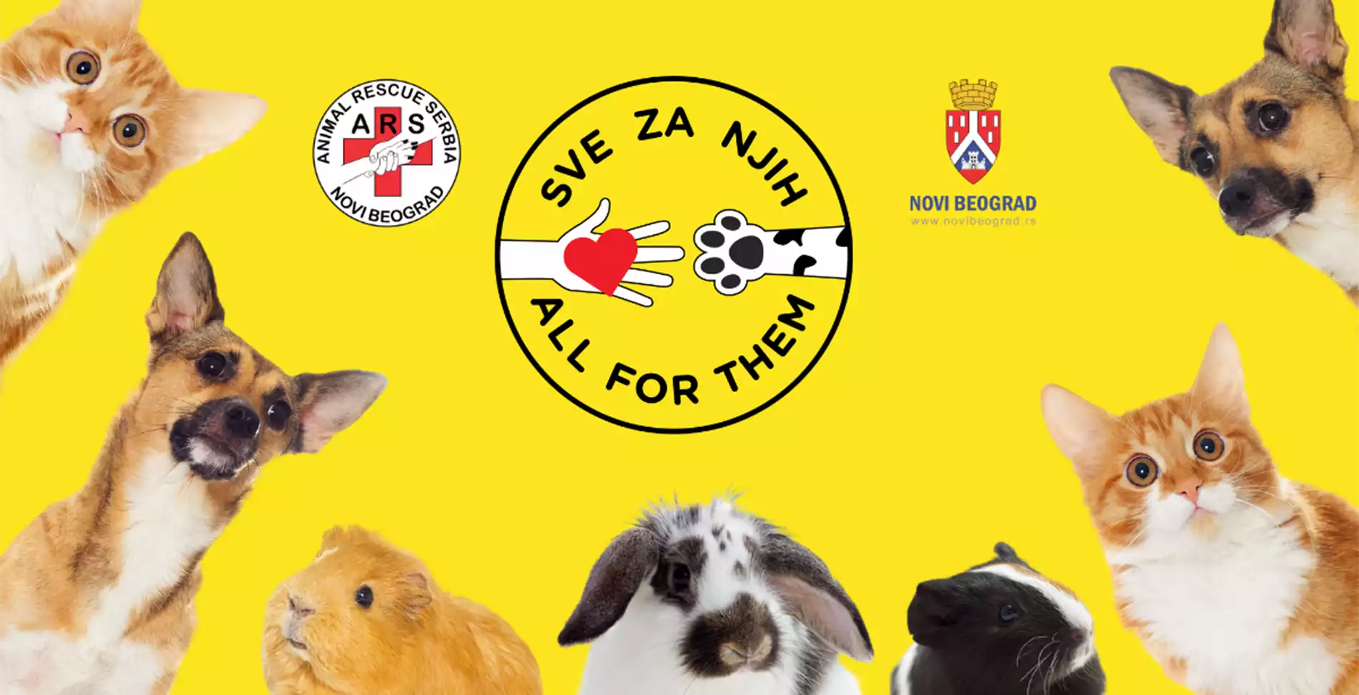 Danas na Adi: Animal Rescue Serbia organizuje zabavno takmičenje pasa i druženje sa ljubimcima