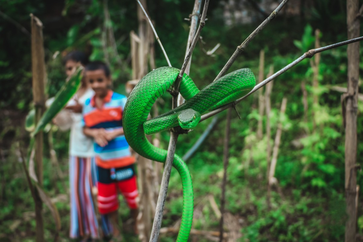 „Lost in the Jungle“: Ekranizovana neverovatna istinita priča o četvoro dece koja su 40 dana preživela u Amazoniji 3 Lost in the Jungle - ekranizovana neverovatna istinita priča