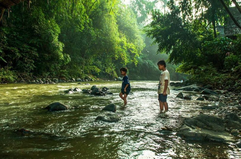 "Lost in jugnle "neverovatna istinita priča o četvoro dece koja su 40 dana preživela u Amazoniji