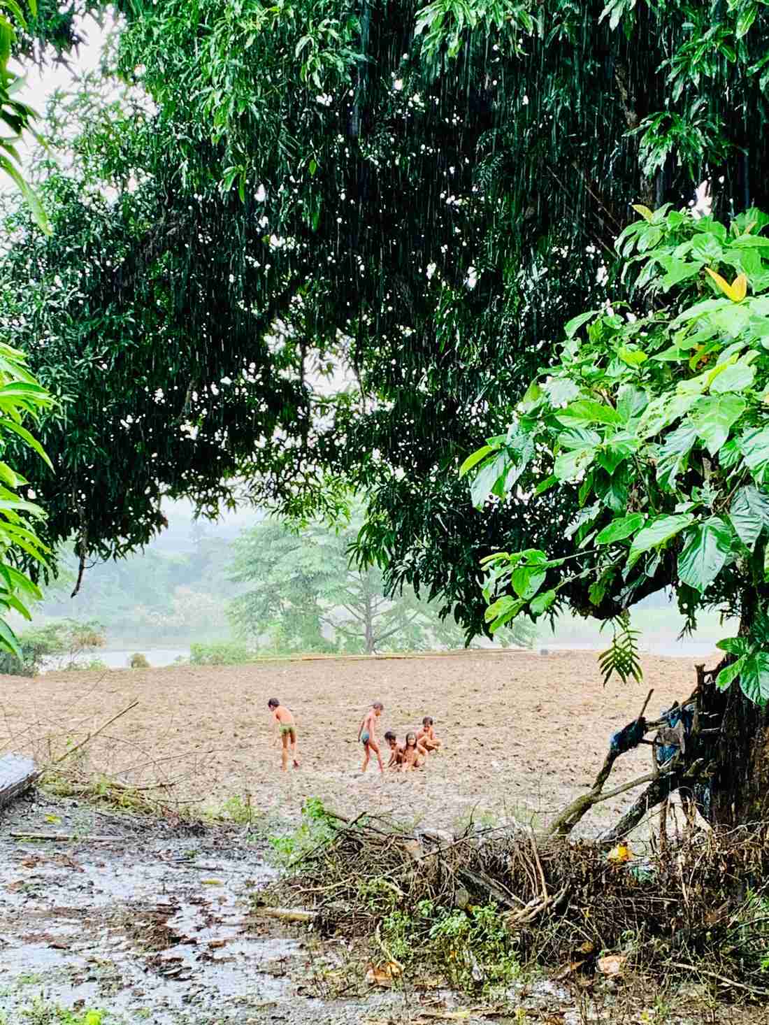 „Lost in the Jungle“: Ekranizovana neverovatna istinita priča o četvoro dece koja su 40 dana preživela u Amazoniji 4 „Lost in the Jungle“: Ekranizovana neverovatna istinita priča o četvoro dece koja su 40 dana preživela u Amazoniji