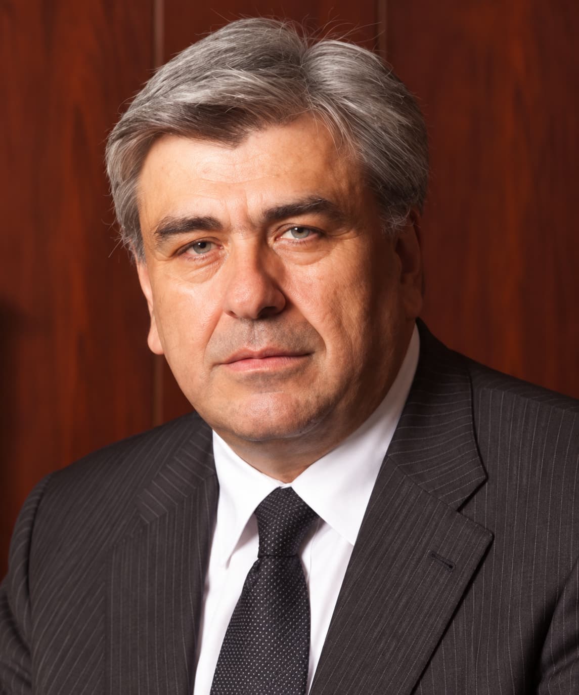 Prof. Petar Kočović: Upozorenja o veštačkoj inteligenciji treba shvatiti ozbiljno 4 Prof. Petar Kočović: Upozorenja o veštačkoj inteligenciji treba shvatiti ozbiljno