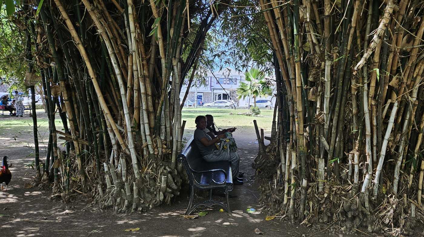 Karibi iz drugog ugla: St. Kitts, ostrvo istorije, šećera i tirkiznog mora 9 Karibi iz drugog ugla: St. Kitts, ostrvo istorije, šećera i tirkiznog mora